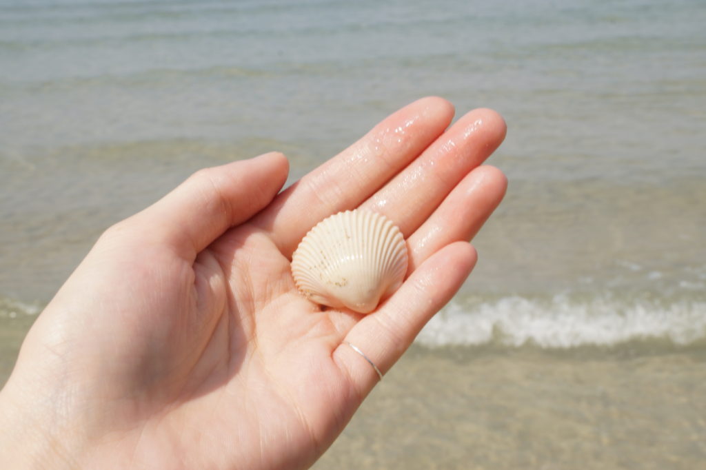 [泰國 象島] 旅程中休息片刻的時光