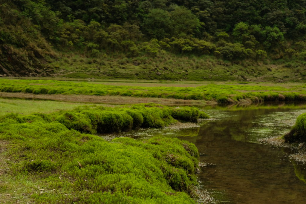 松蘿湖